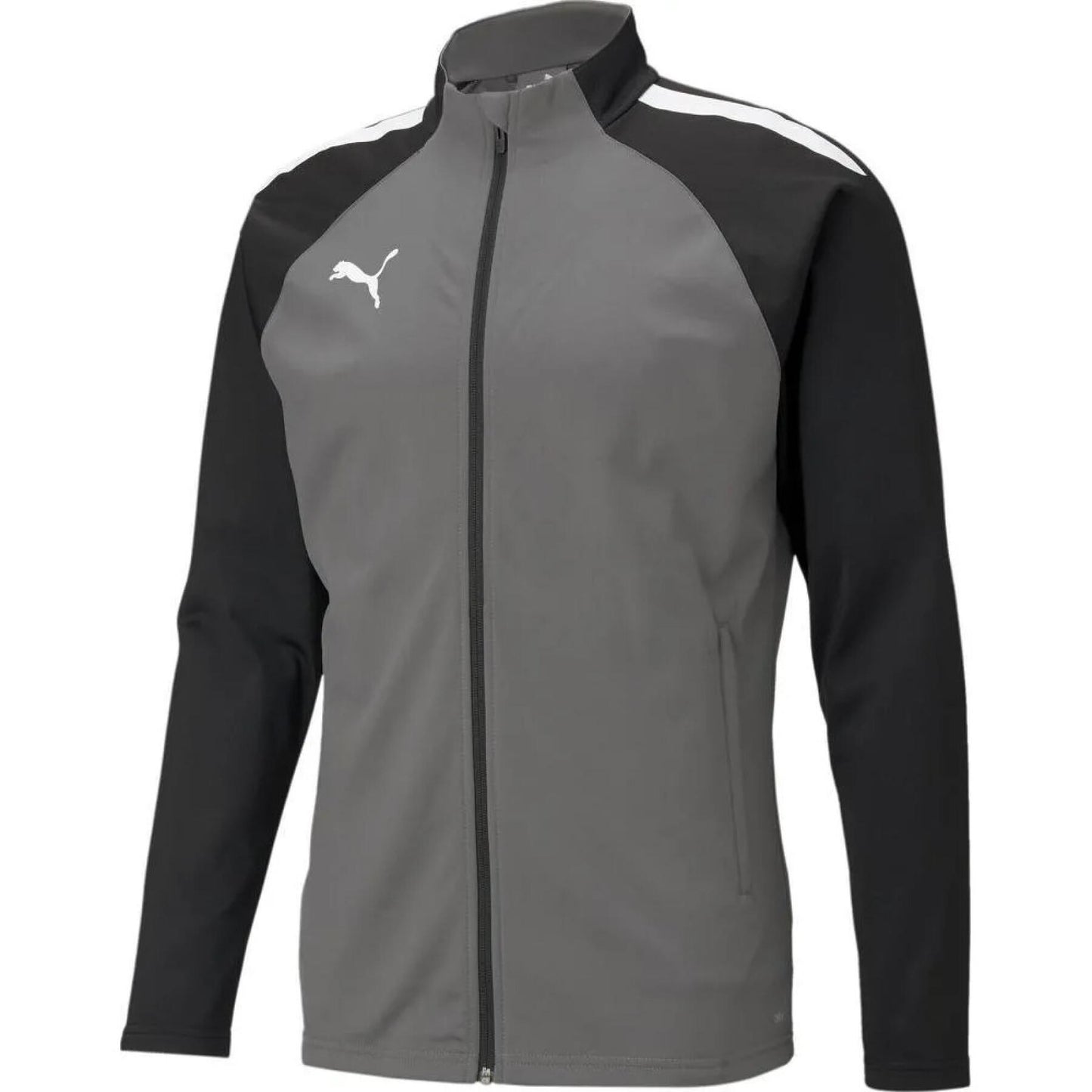 Puma TeamLiga Training Jacket Smoked Pearl
