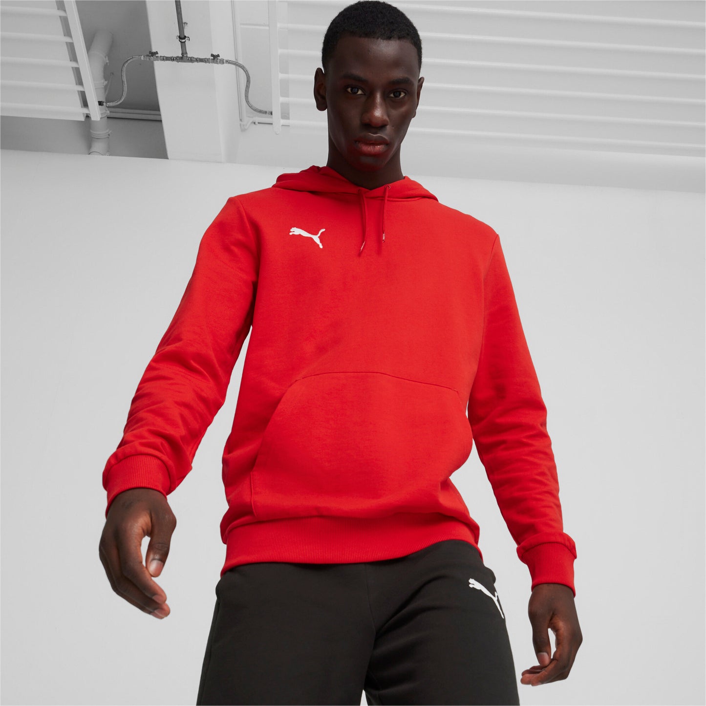 Puma Teamgoal Casuals Hoodie Red