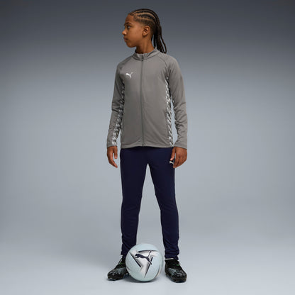 Puma TeamLiga26 Training Jacket Youth Grey