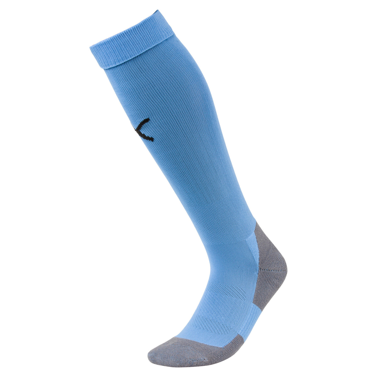Puma TeamLiga Socks Core Silver Lake Blue