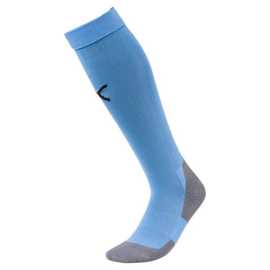 Puma TeamLiga Socks Core Silver Lake Blue