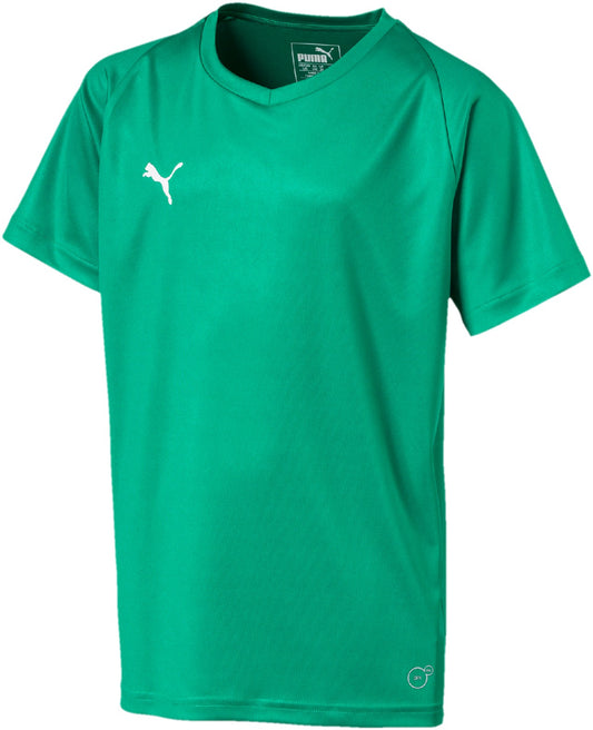 Puma Liga Core Jersey Green Youth