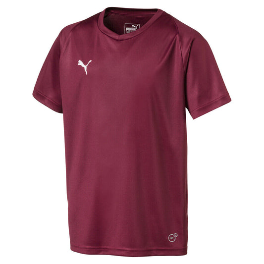 Puma Liga Core Jersey Burgundy Youth