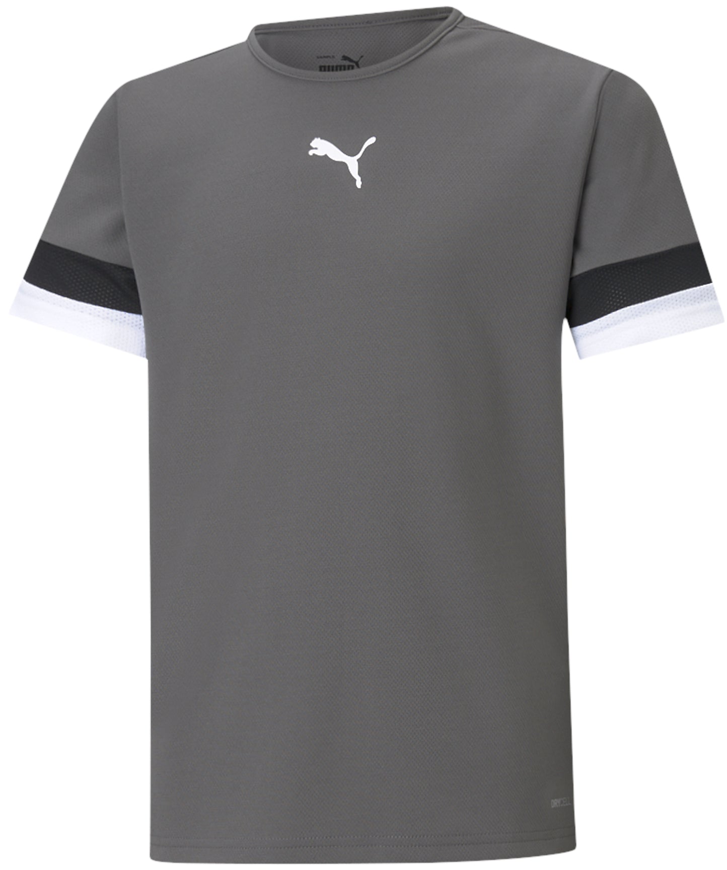 Puma TeamRise Jersey Smoked Pearl Youth