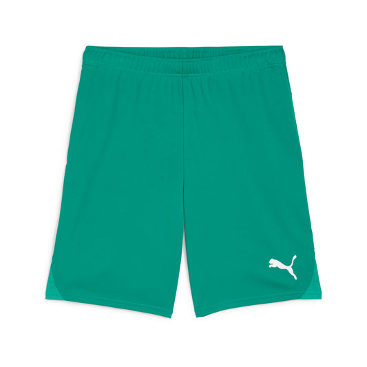 Puma TeamGoal Shorts Green