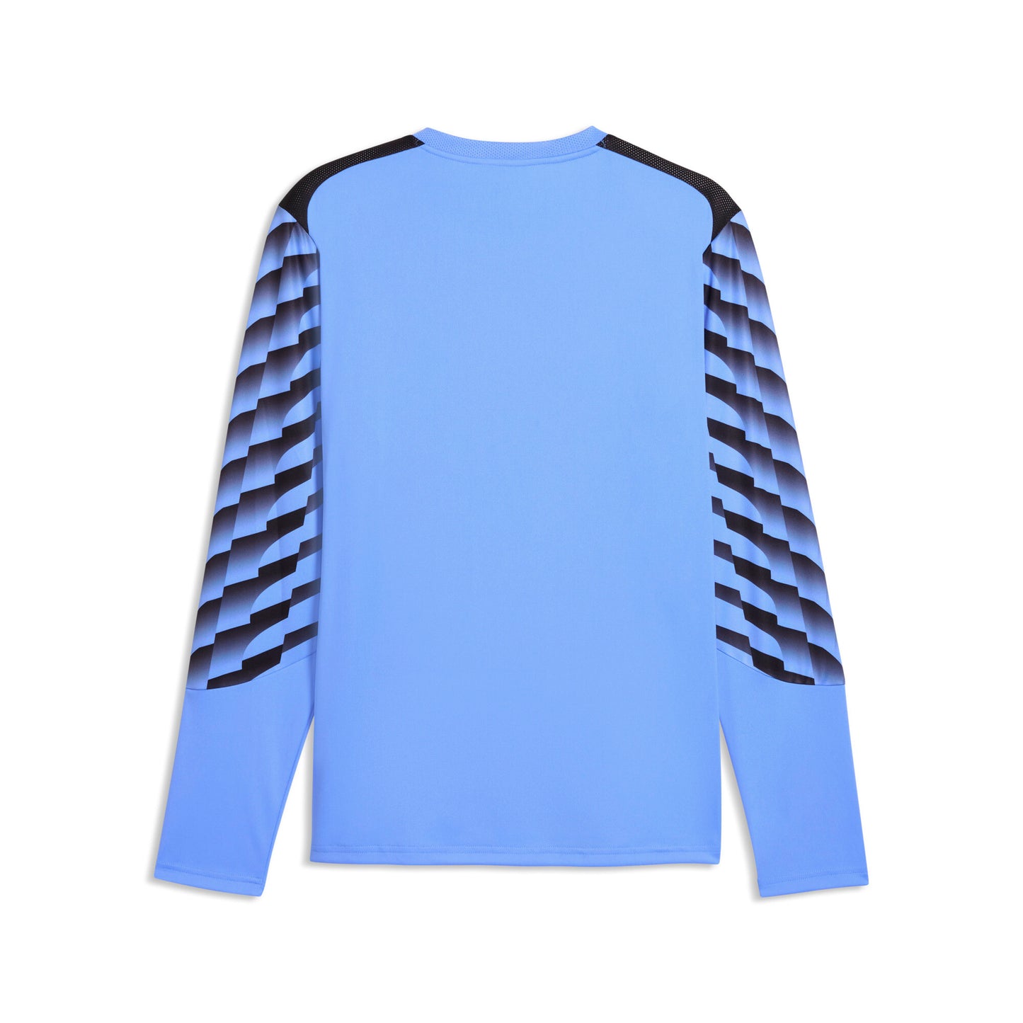 Puma TeamLiga 26 Long Sleeve Goalkeeper Jersey Blue