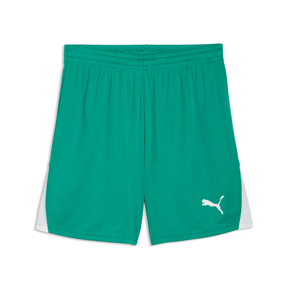 Puma TeamLiga 26 Shorts Green