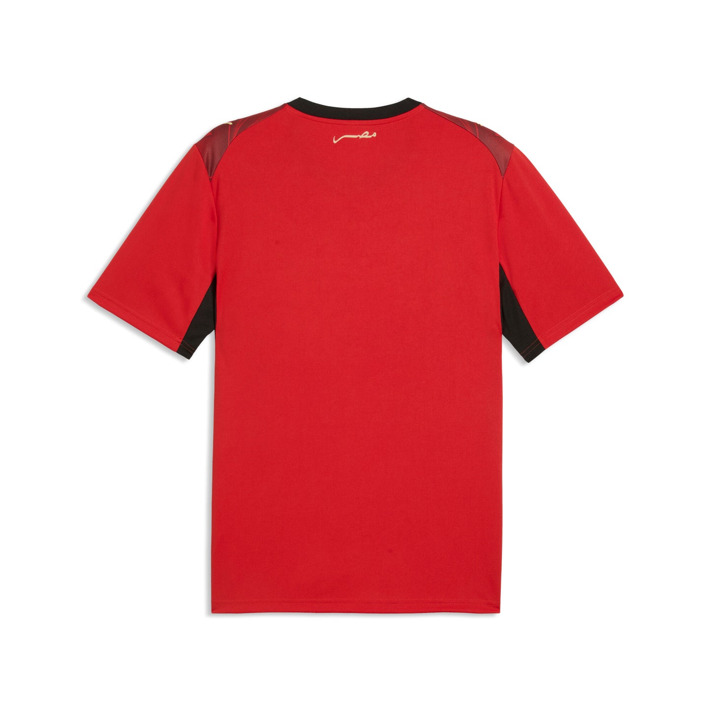 Puma Egypt 2026 Home Jersey