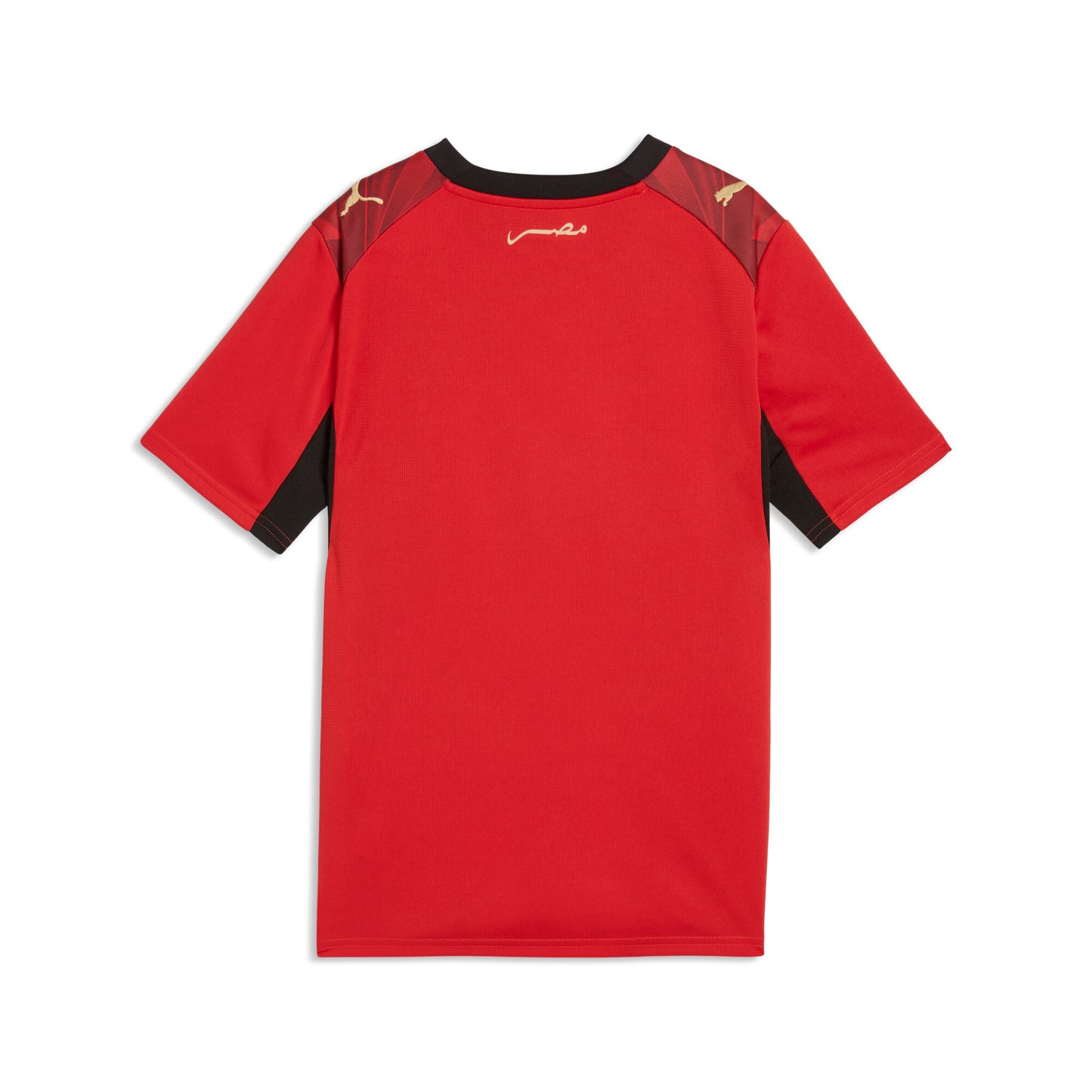 Puma Egypt 2026 Home Jersey Youth
