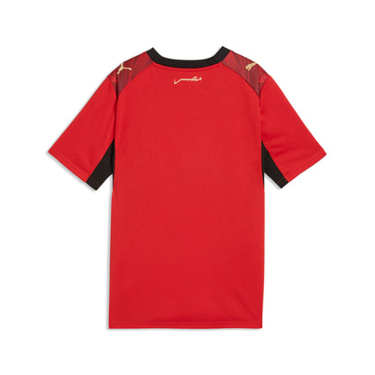 Puma Egypt 2026 Home Jersey Youth