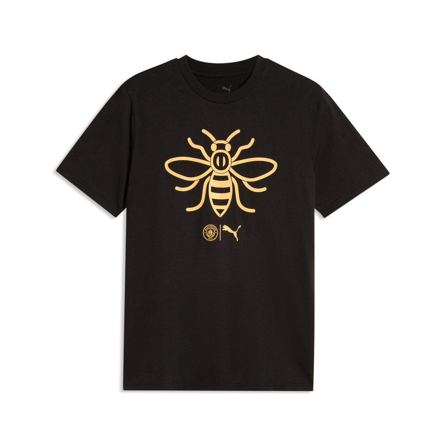 Puma Manchester City Ftblculture T-Shirt