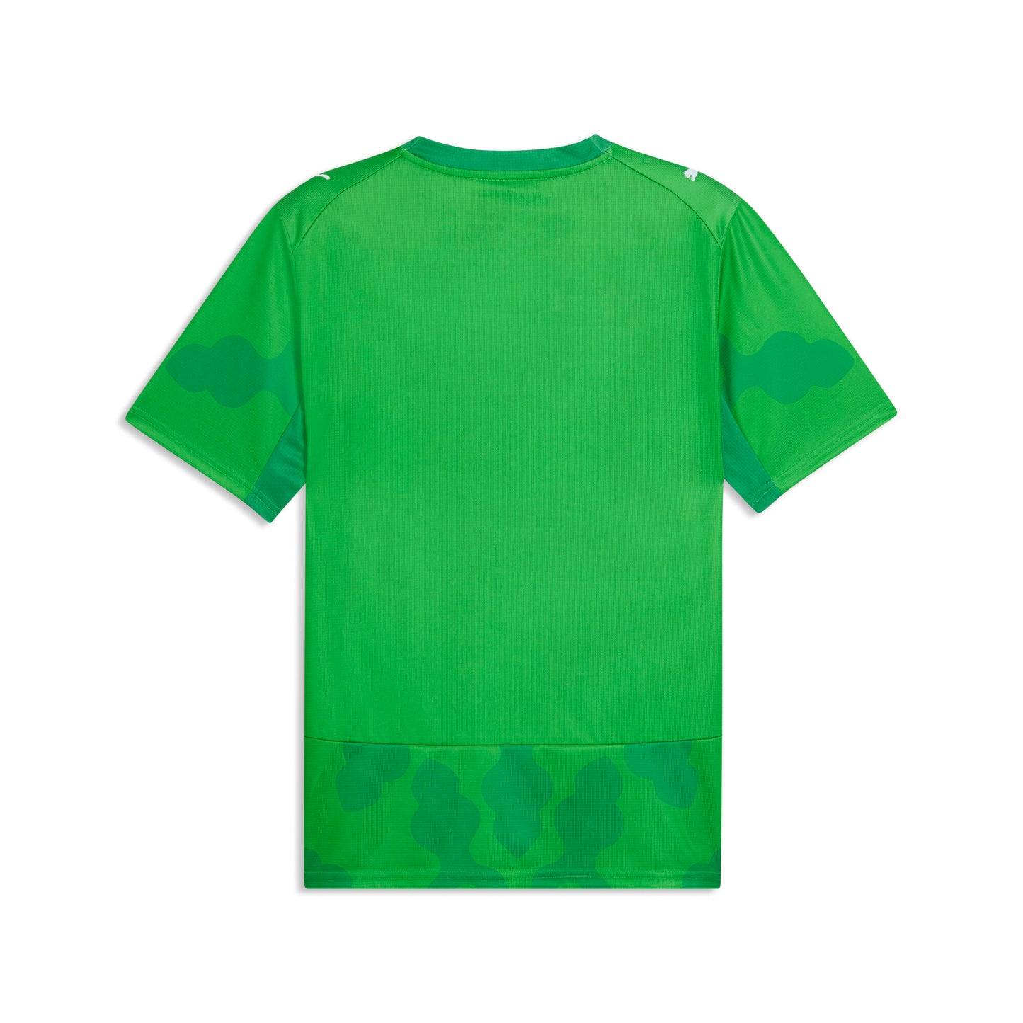 Puma Egypt x Salehe Bembury 2026 Jersey