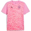 Puma Manchester City Pre Match Jersey