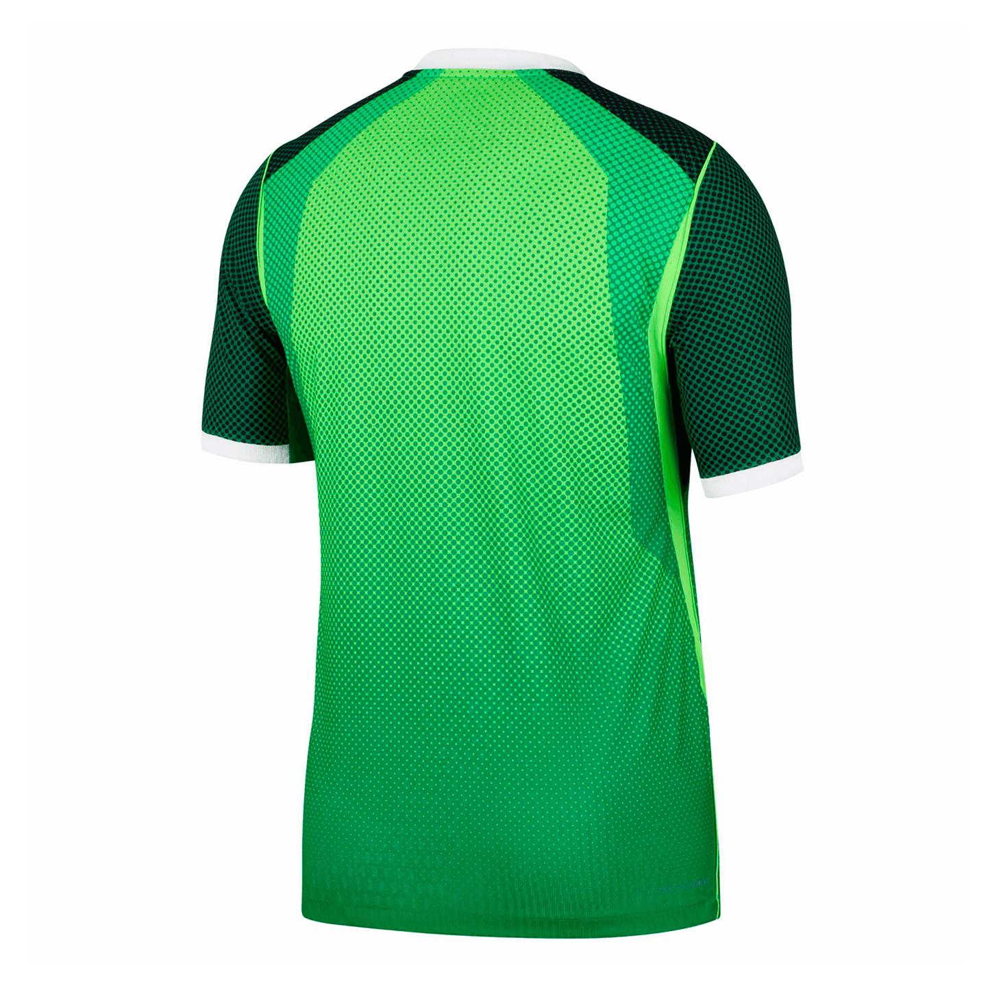 Nike Nigeria 2026 Authentic Home Jersey