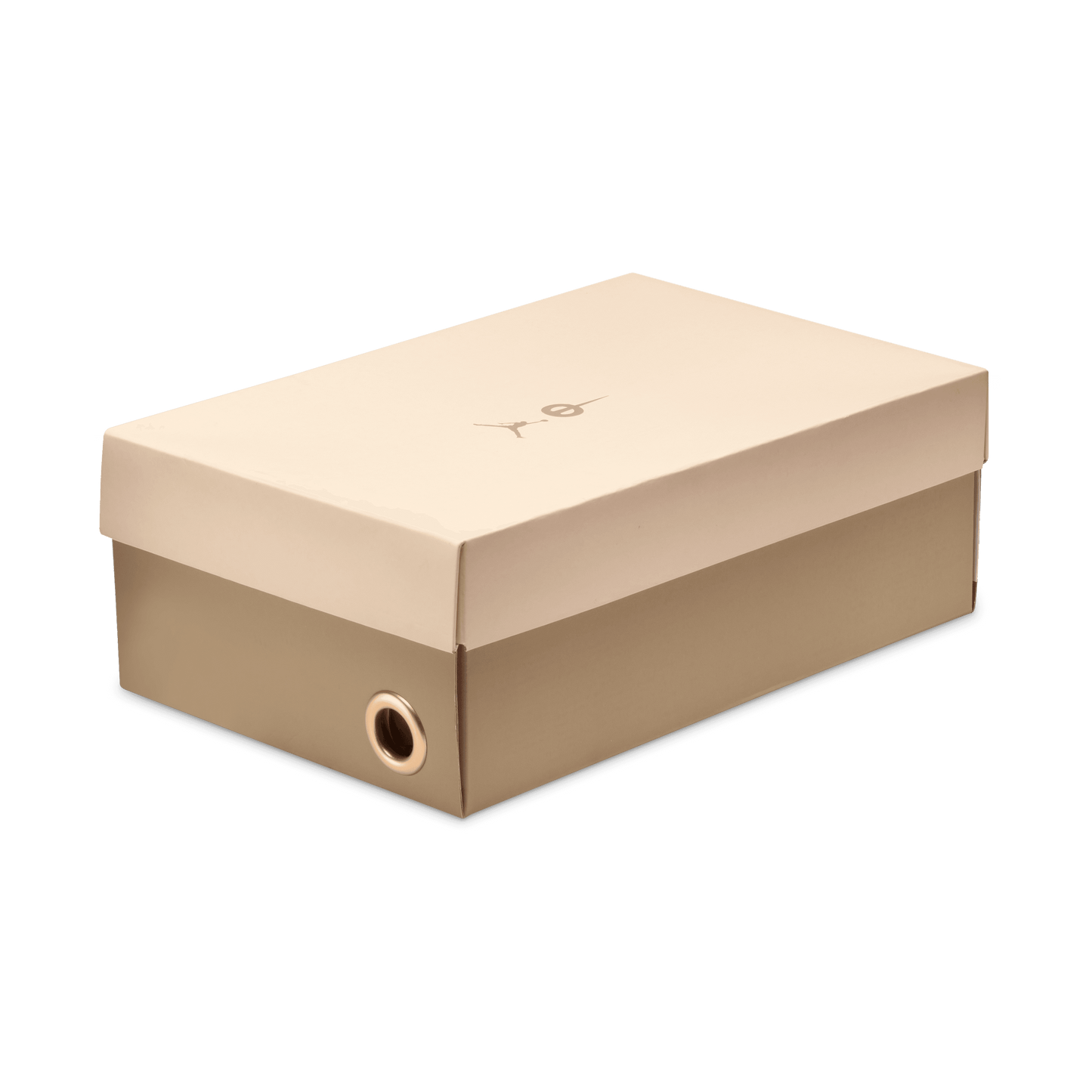 Nike Tiempo Streetgato Jordan SE Indoor