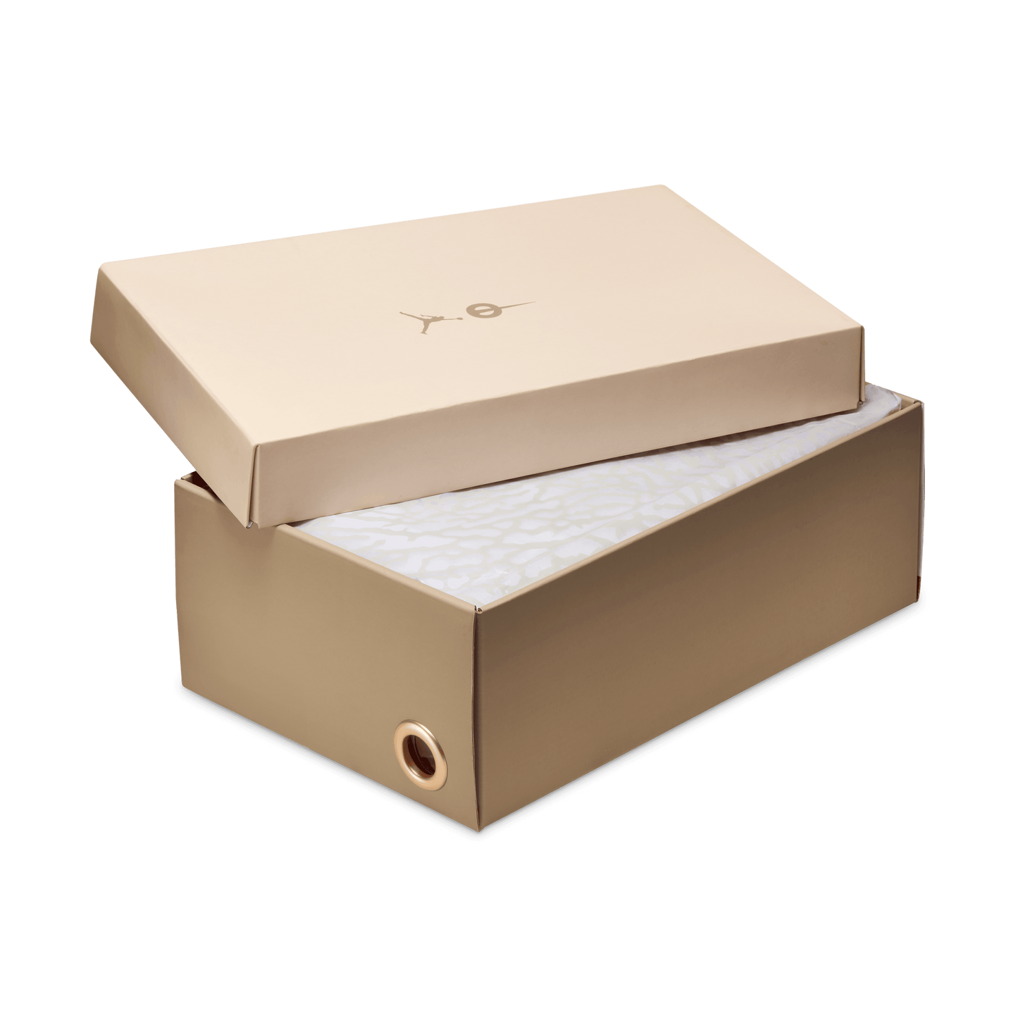 Nike Tiempo Streetgato Jordan SE Indoor