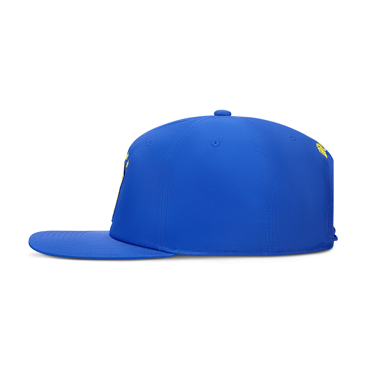 Nike Brazil Jordan Pro Cap