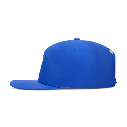 Nike Brazil Jordan Pro Cap