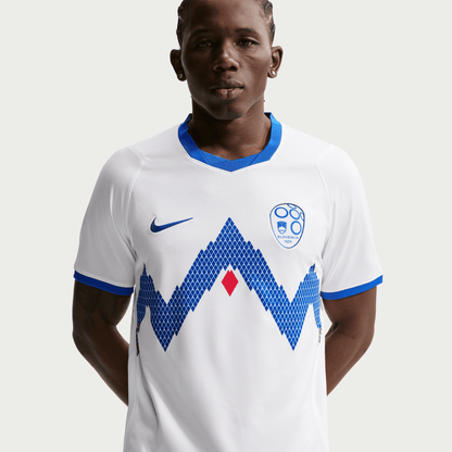Nike Slovenia 2026 Home Jersey