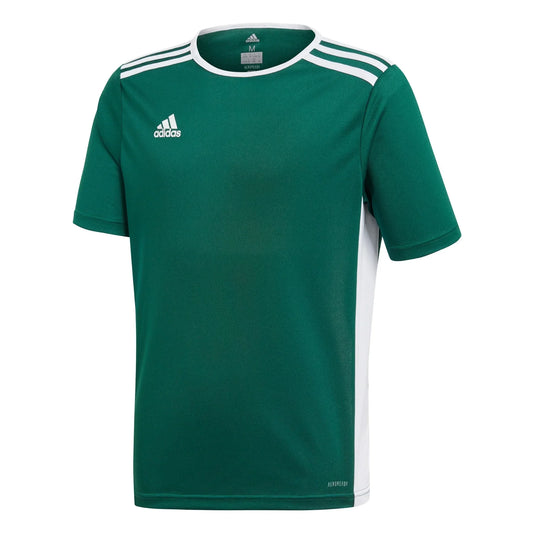 Adidas Entrada 18 Jersey Collegiate Green Youth