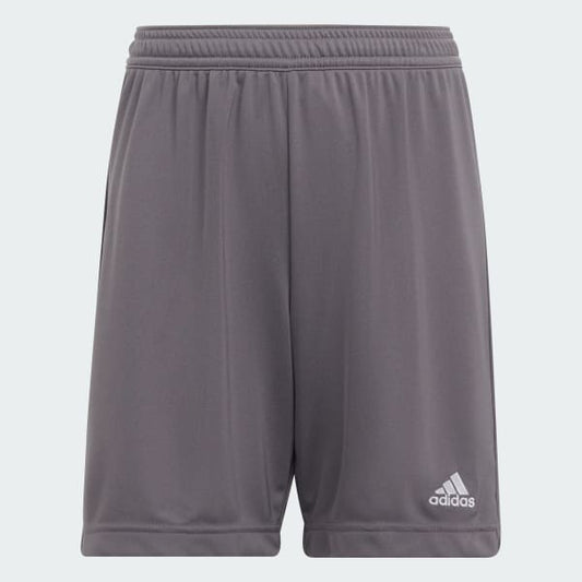 Adidas Entrada 22 Shorts Grey Youth