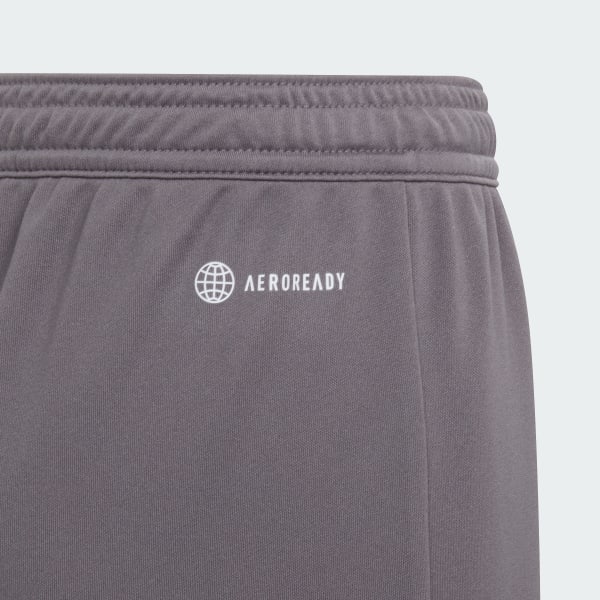 Adidas Entrada 22 Shorts Grey Youth