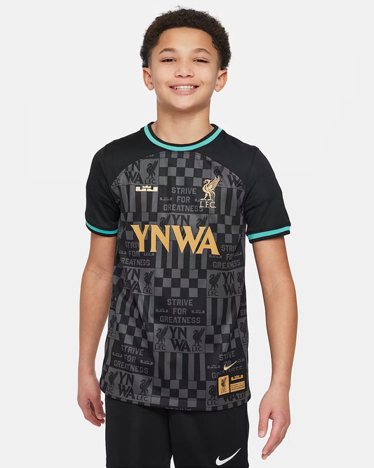 Nike Liverpool LeBron Stadium Jersey Youth