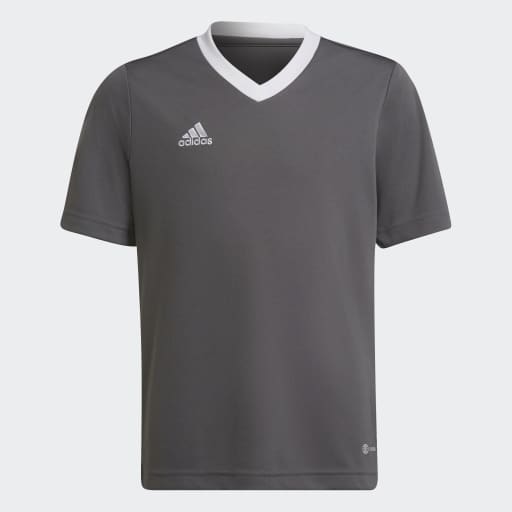 Adidas Entrada 22 Jersey Grey Youth