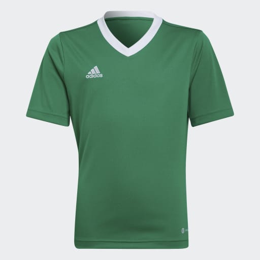 Adidas Entrada 22 Jersey Green Youth