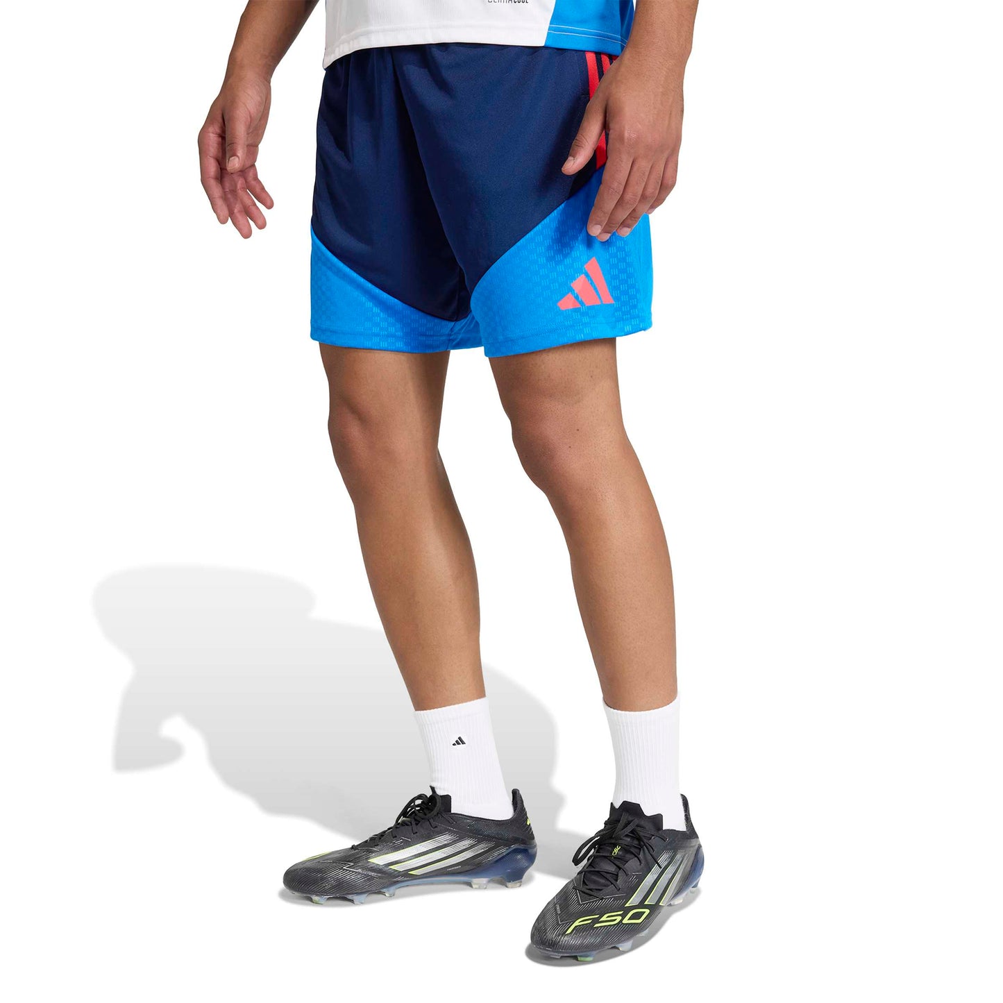 Adidas Colombia Training Shorts