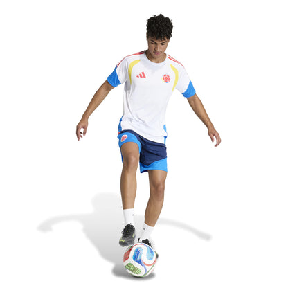 Adidas Colombia Training Shorts