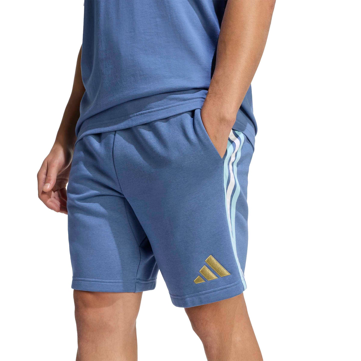 Adidas Argentina DNA Fleece Shorts