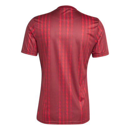 Adidas Arsenal Pre-Match Jersey