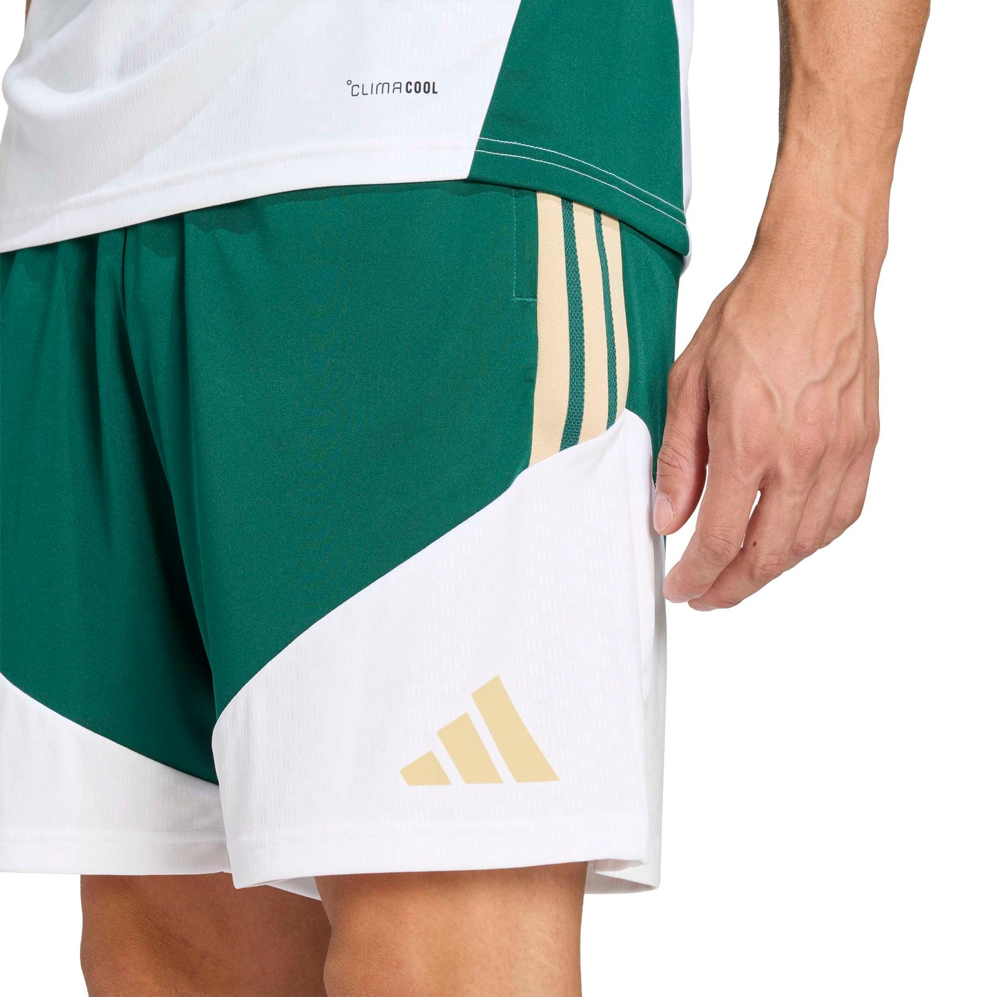 Adidas Italy Training Shorts