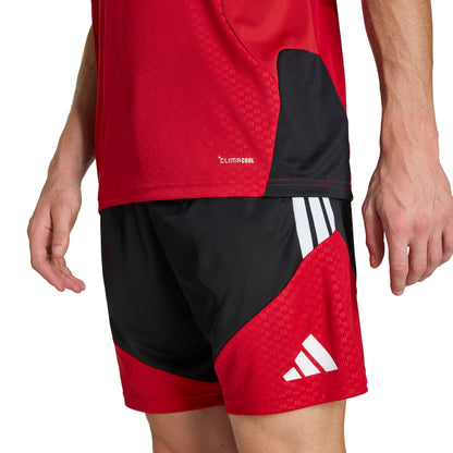 Adidas Germany Training Shorts