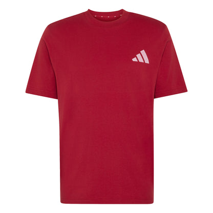 Adidas Liverpool Seasonal Graphic T-Shirt