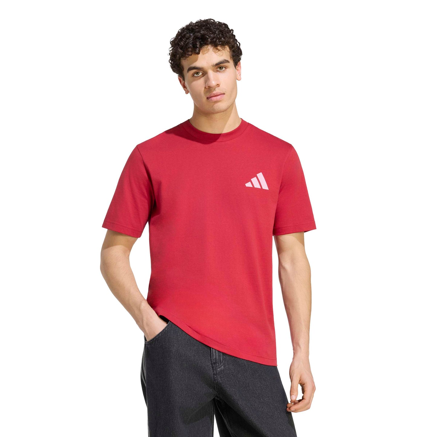 Adidas Liverpool Seasonal Graphic T-Shirt