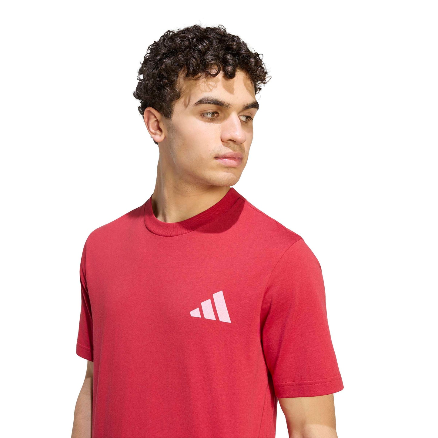 Adidas Liverpool Seasonal Graphic T-Shirt