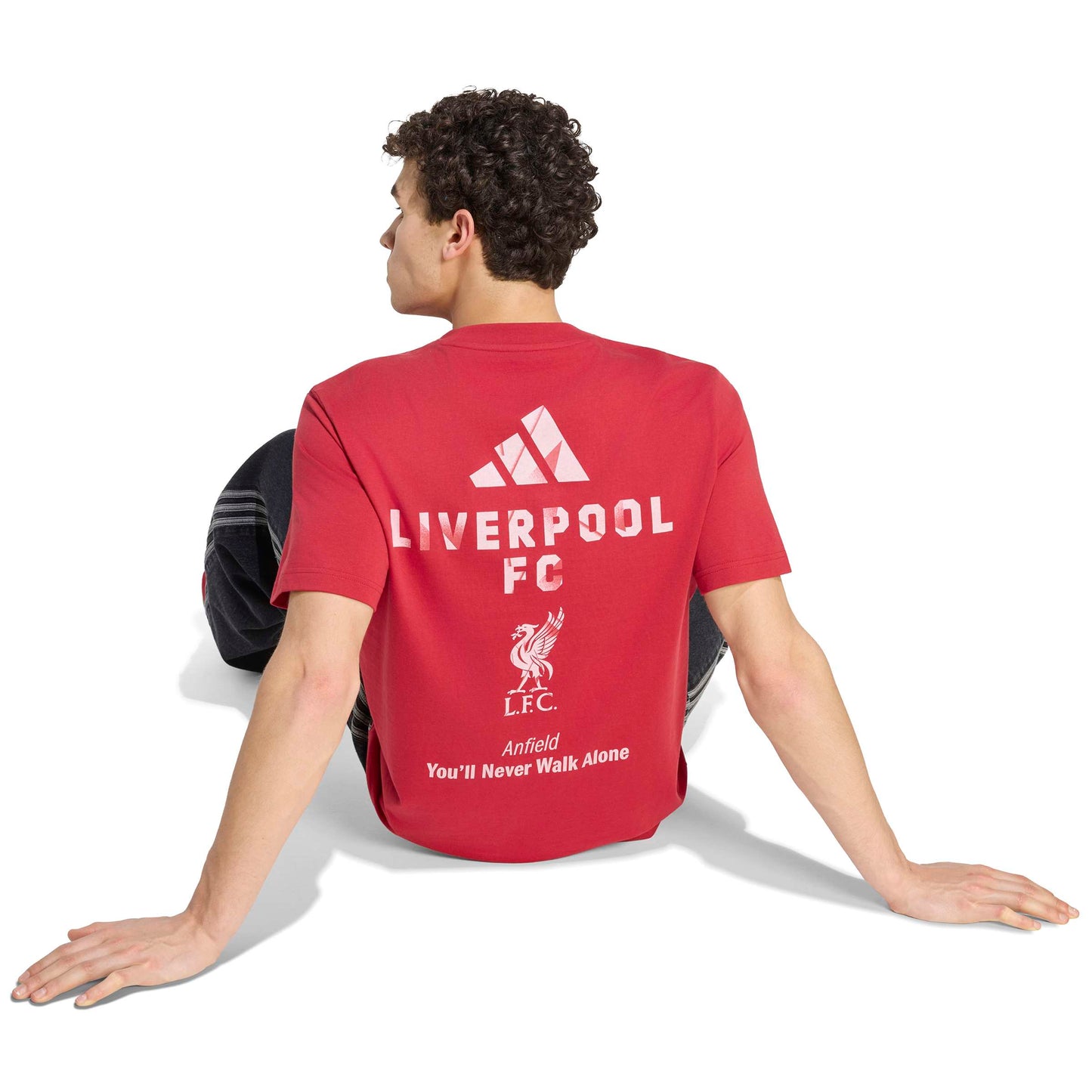 Adidas Liverpool Seasonal Graphic T-Shirt