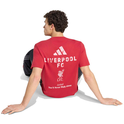 Adidas Liverpool Seasonal Graphic T-Shirt