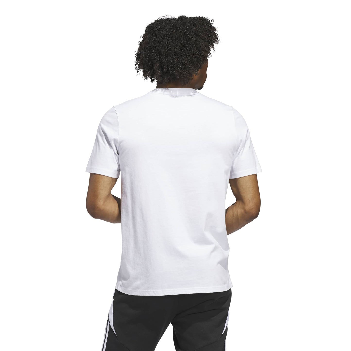 Adidas Argentina Graphic T-Shirt