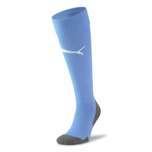 Guelph Puma TeamLIGA 26 Core Socks Blue Glimmer