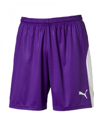 Puma Liga Goalkeeper Shorts Purple Youth