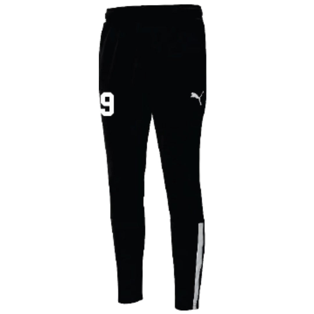Toronto High Park Puma TeamLiga Track Pants Black Women's