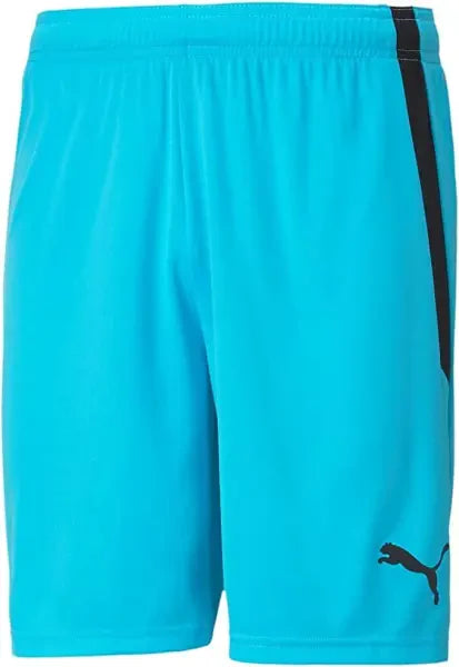 Puma TeamLiga Goalkeeper Shorts Blue Atoll