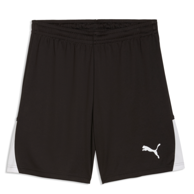 Guelph Puma TeamLiga 26 Shorts Youth Black