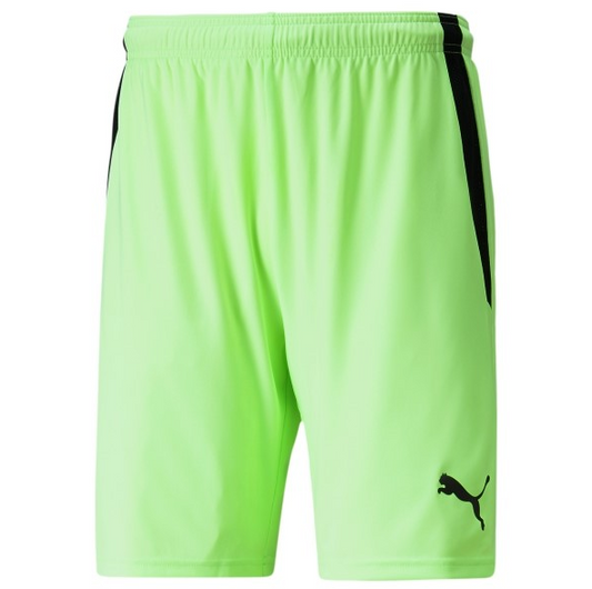 Puma TeamLiga Goalkeeper Shorts Youth Fizzy Lime