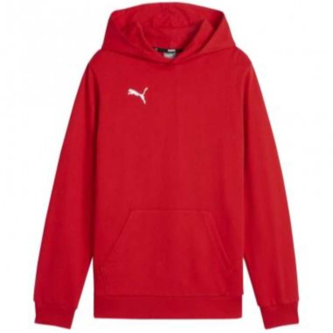 Puma TeamGoal Casuals Hoodie Youth