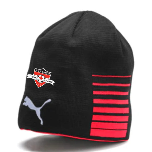 Toronto High Park Liga Beanie Red (Embroidered)