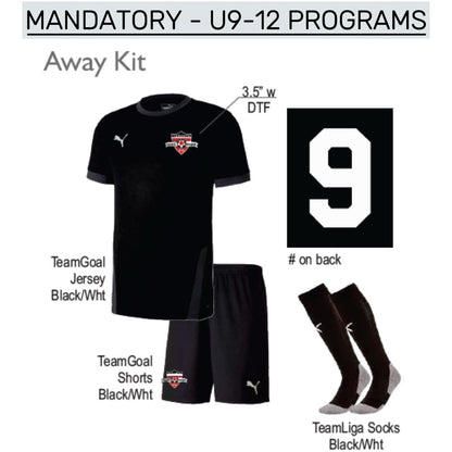 Toronto High Park U9-U12 Competitive Player Program Package (MANDATORY)